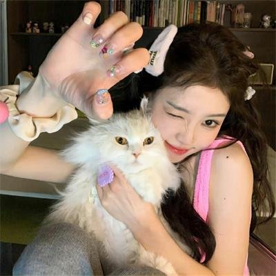 不可思议猫森林
